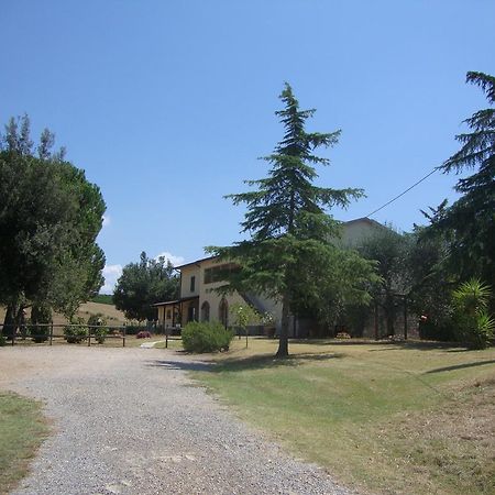 Agriturismo Podere Selvette Campagnatico Ngoại thất bức ảnh