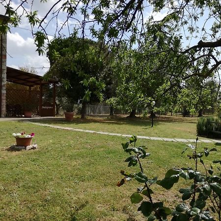 Agriturismo Podere Selvette Campagnatico Ngoại thất bức ảnh