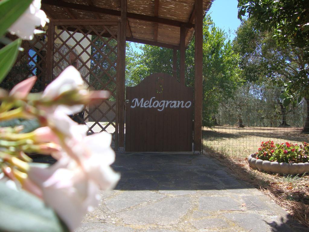 Agriturismo Podere Selvette Campagnatico Ngoại thất bức ảnh