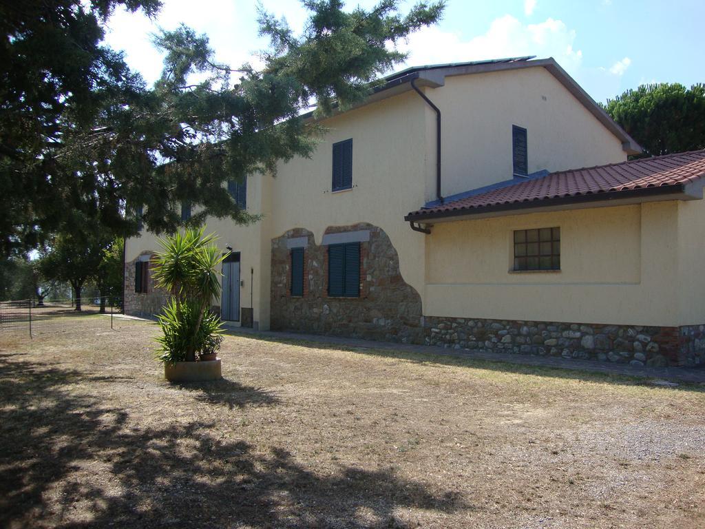 Agriturismo Podere Selvette Campagnatico Ngoại thất bức ảnh