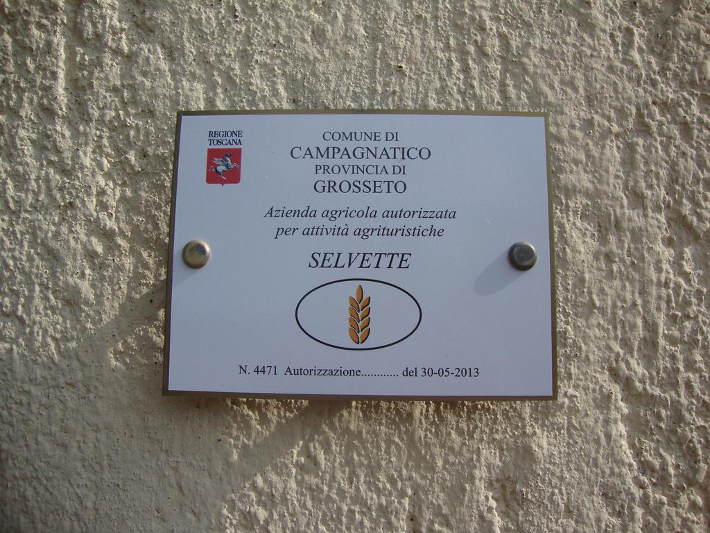 Agriturismo Podere Selvette Campagnatico Ngoại thất bức ảnh