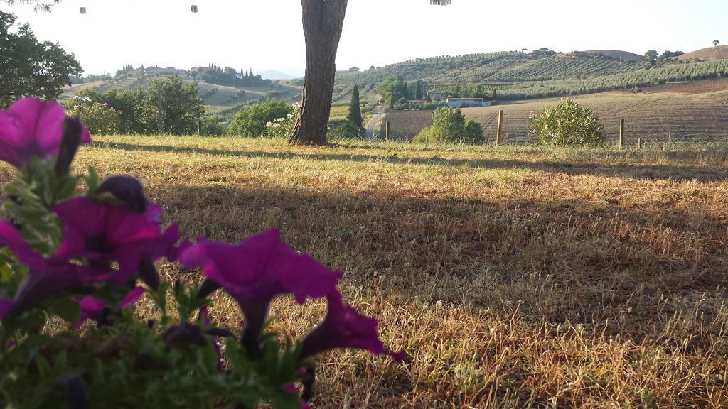 Agriturismo Podere Selvette Campagnatico Ngoại thất bức ảnh
