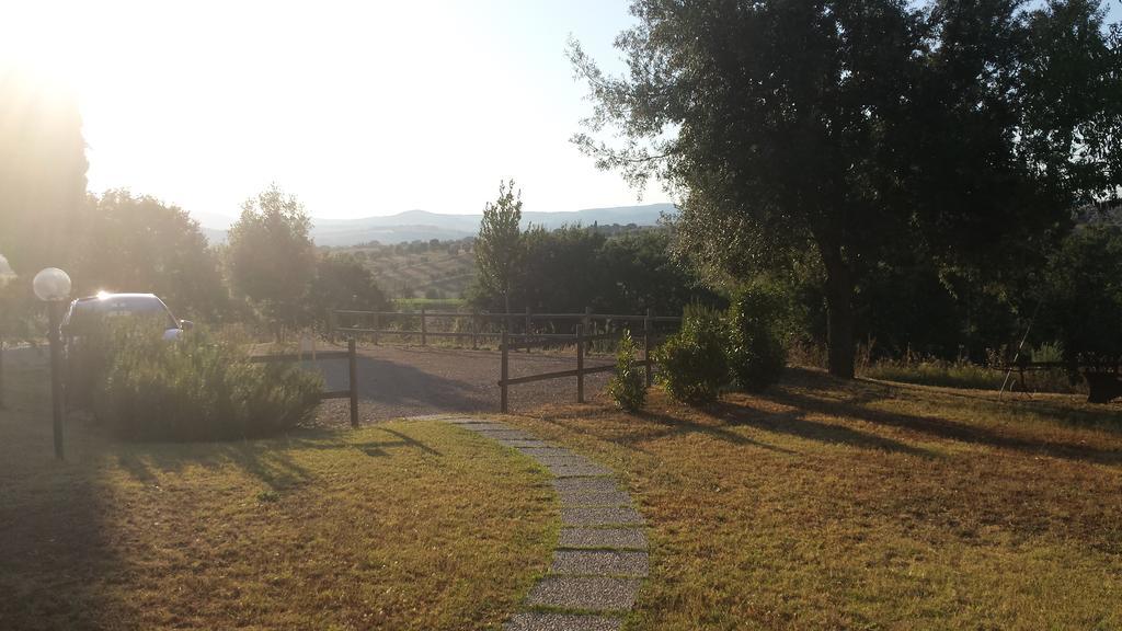 Agriturismo Podere Selvette Campagnatico Ngoại thất bức ảnh