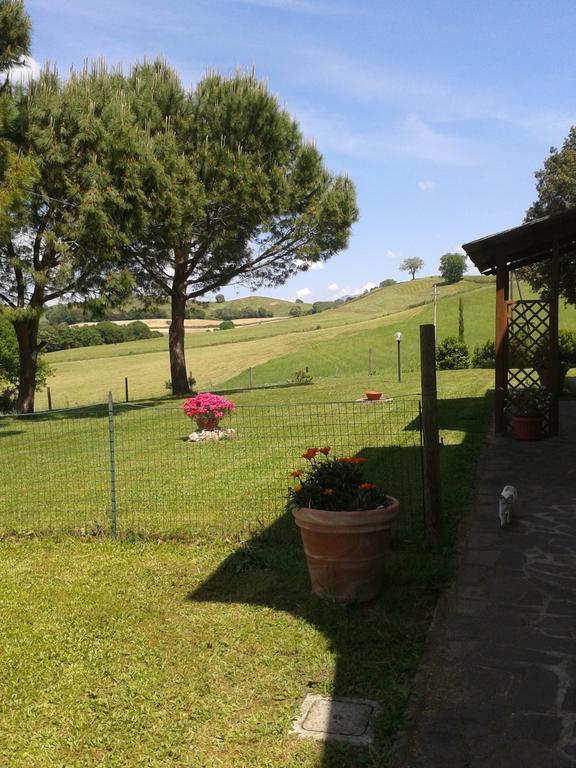 Agriturismo Podere Selvette Campagnatico Ngoại thất bức ảnh