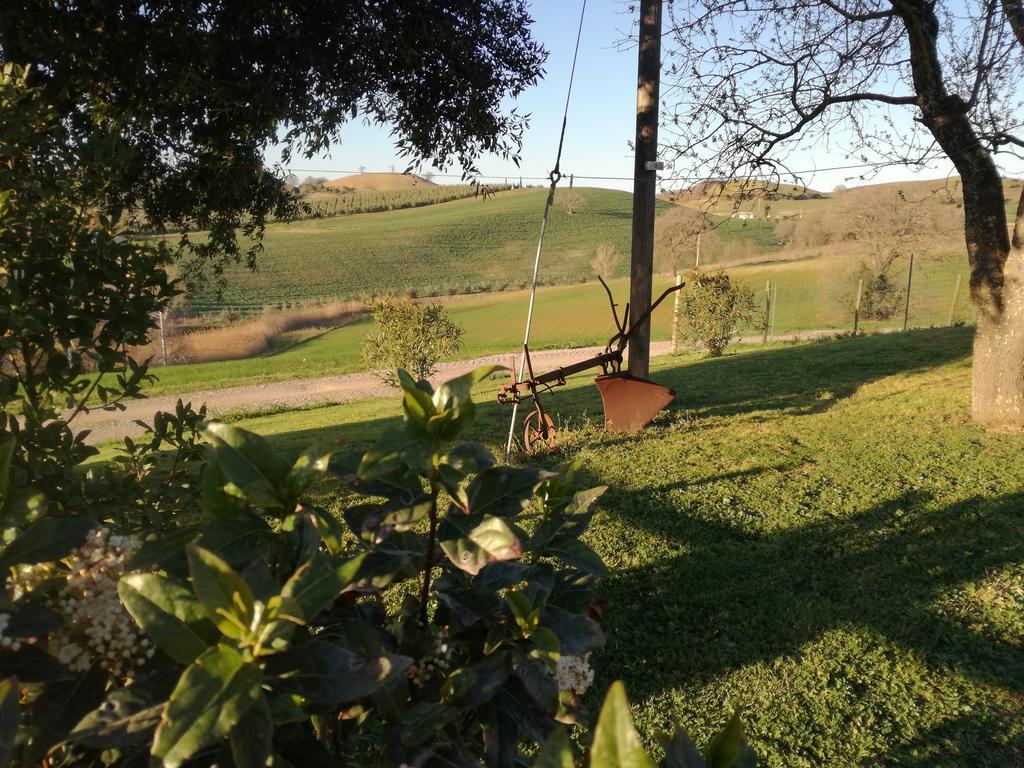 Agriturismo Podere Selvette Campagnatico Ngoại thất bức ảnh