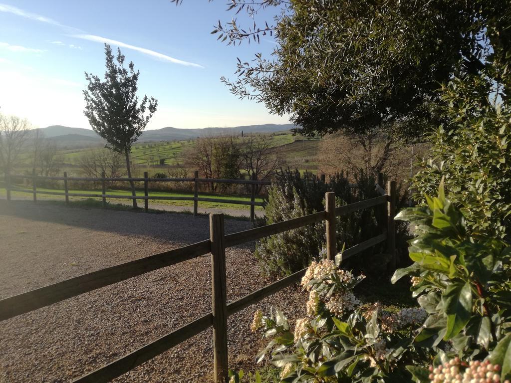 Agriturismo Podere Selvette Campagnatico Ngoại thất bức ảnh