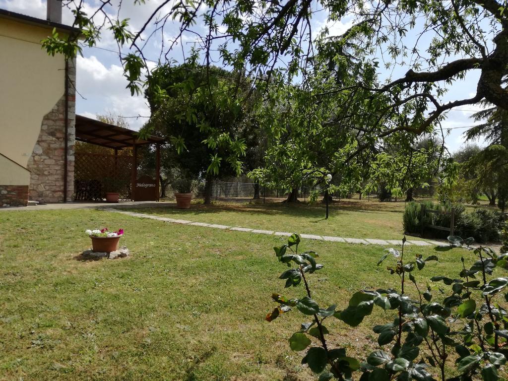Agriturismo Podere Selvette Campagnatico Ngoại thất bức ảnh
