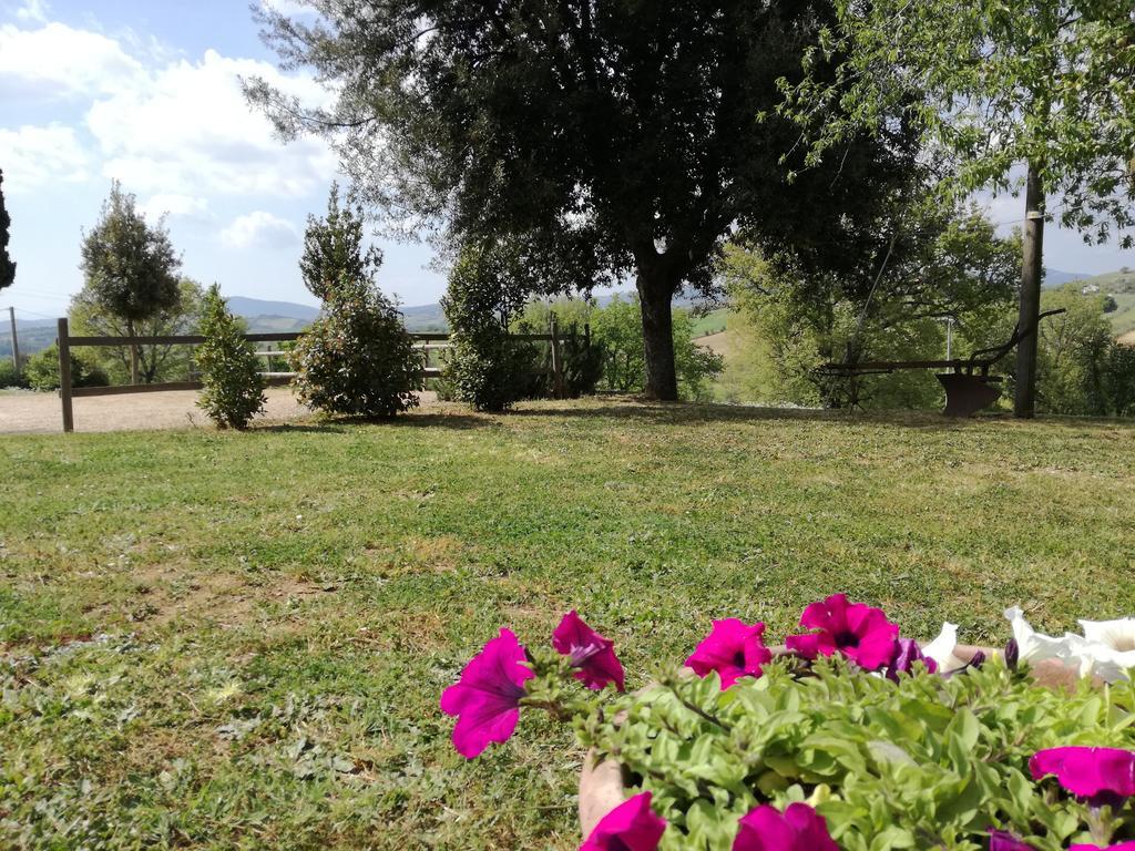 Agriturismo Podere Selvette Campagnatico Ngoại thất bức ảnh